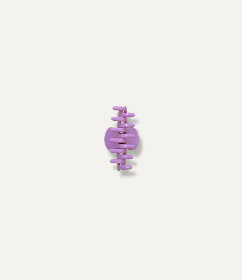 Mini Orchid